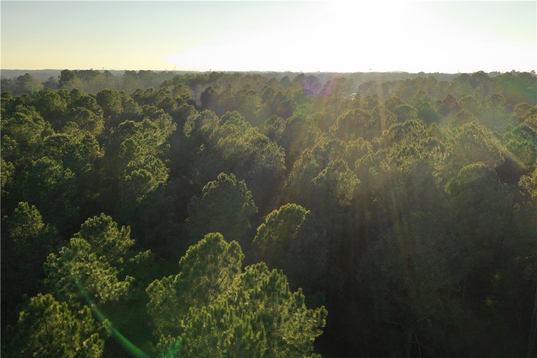 3405 Abbeville Highway