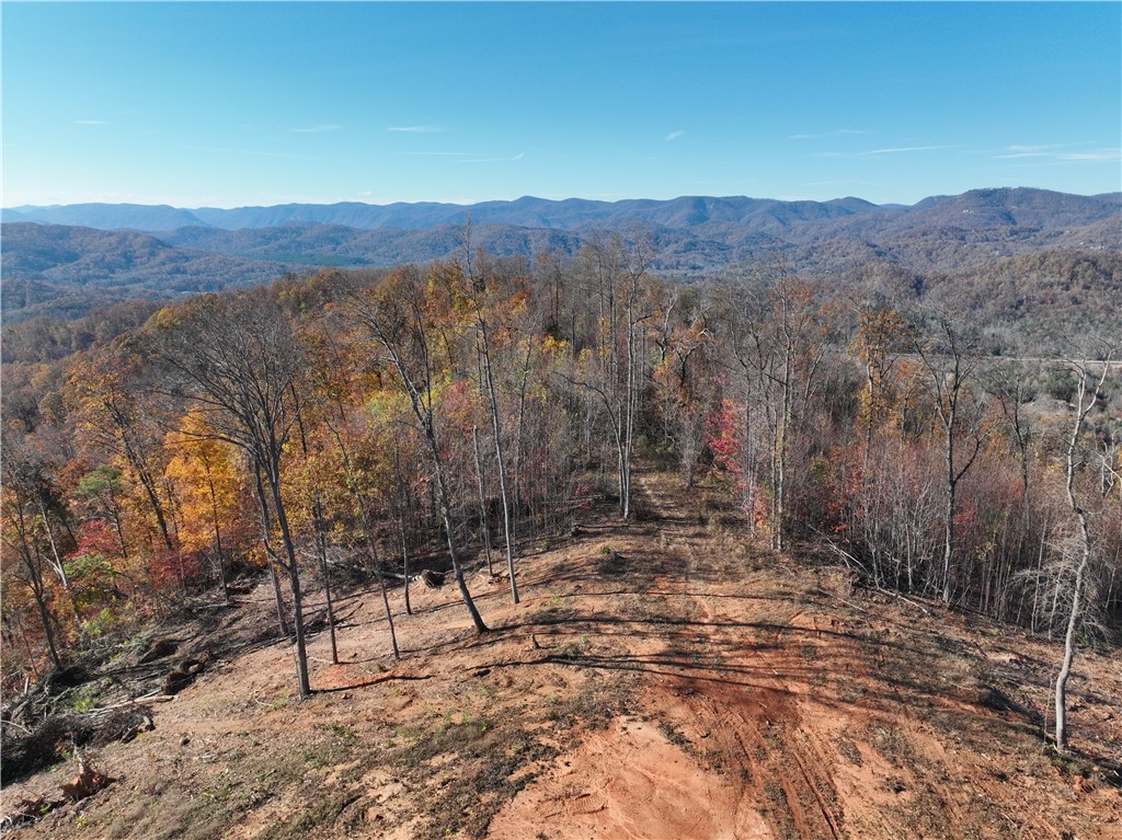 200 Chestnut Mountain Road