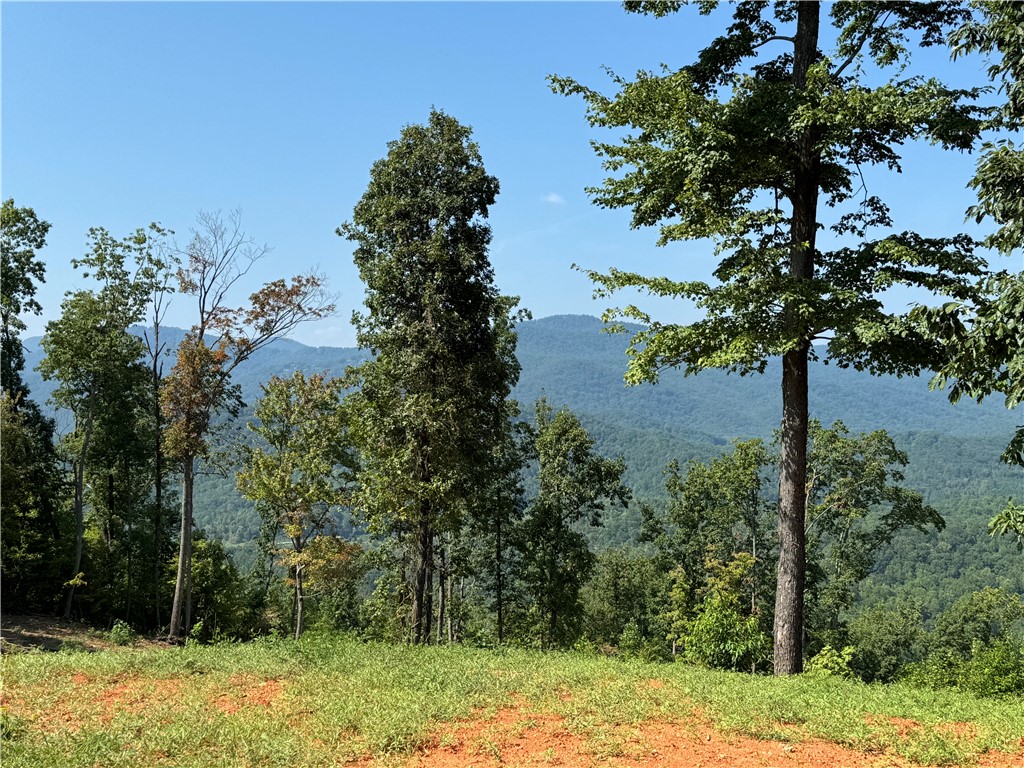 200 Chestnut Mountain Road