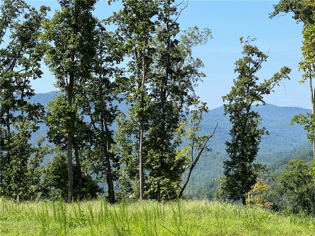 200 Chestnut Mountain Road