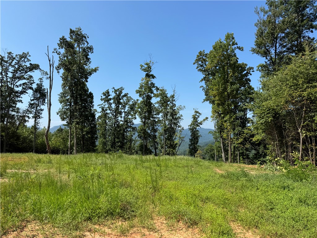 200 Chestnut Mountain Road