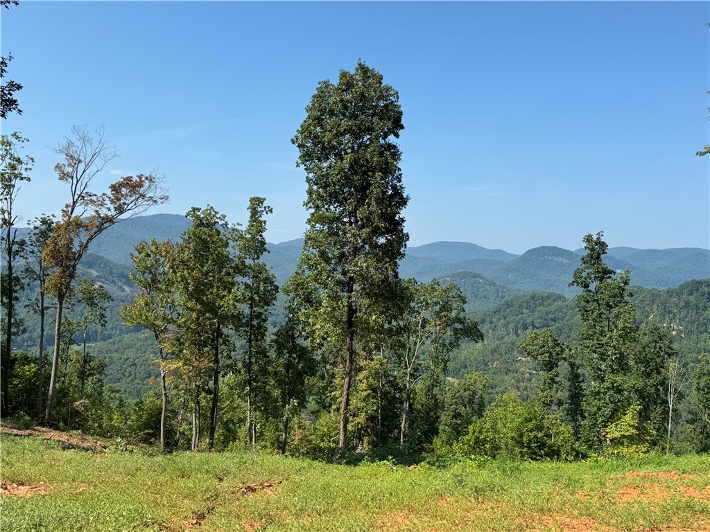 200 Chestnut Mountain Road