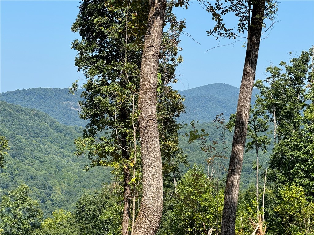 200 Chestnut Mountain Road