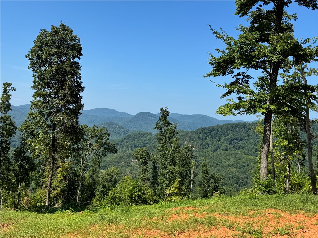 200 Chestnut Mountain Road