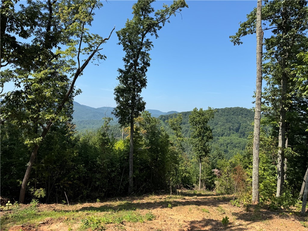 200 Chestnut Mountain Road