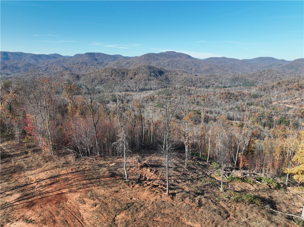 200 Chestnut Mountain Road