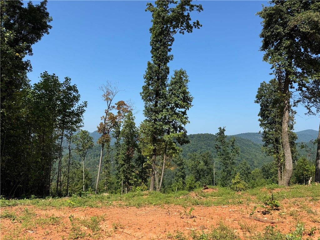 200 Chestnut Mountain Road