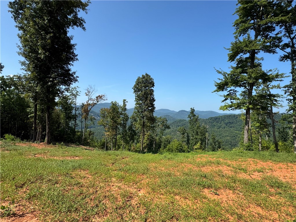 200 Chestnut Mountain Road