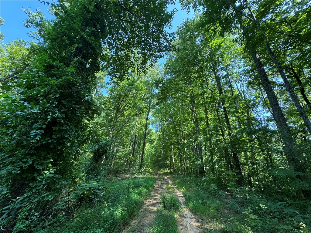 200 Chestnut Mountain Road