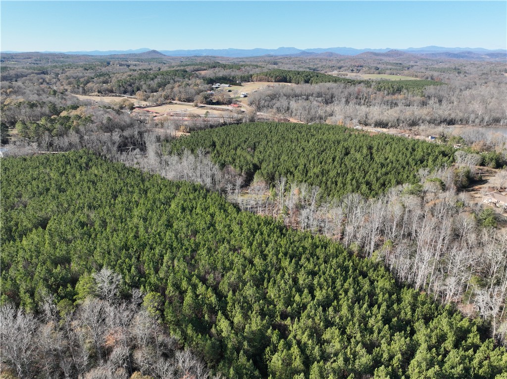 1277 Walhalla Highway