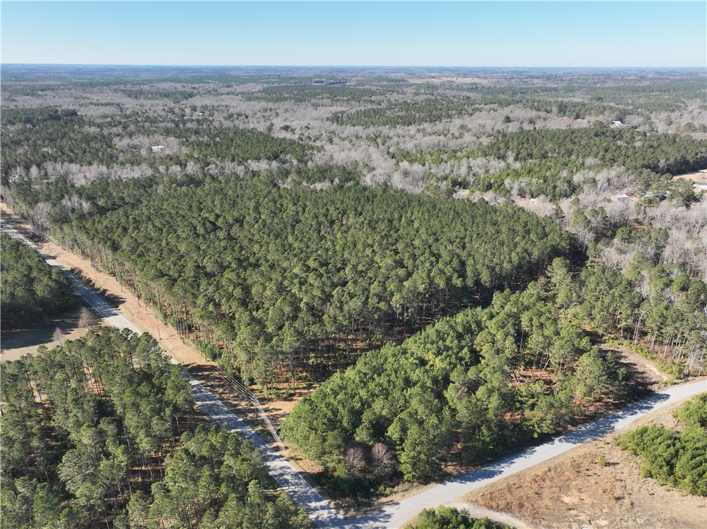 00 Counts Sausage Road