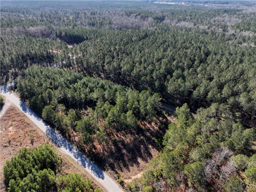 00 Counts Sausage Road