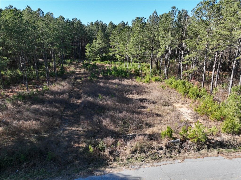 00 Counts Sausage Road