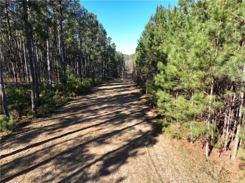 00 Counts Sausage Road