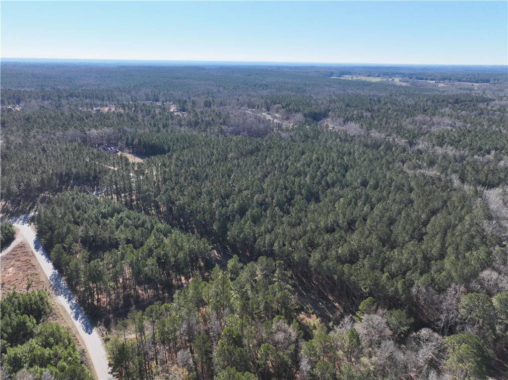 00 Counts Sausage Road