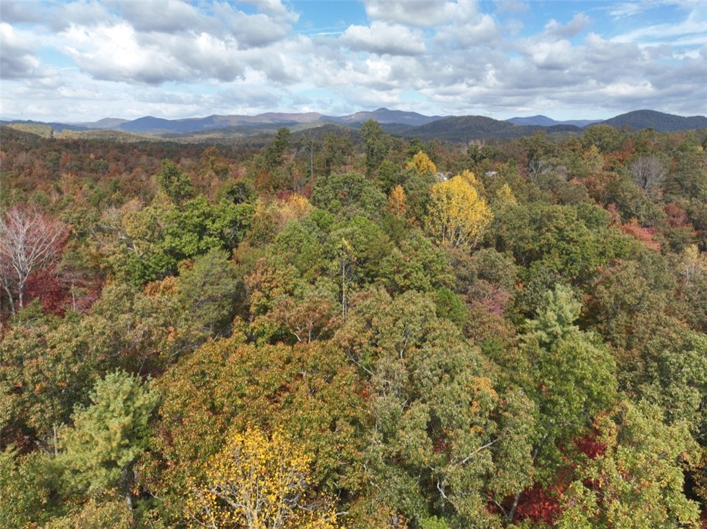 298 Cold Springs Church Road