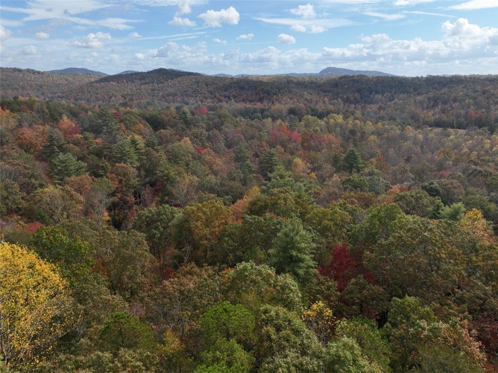 298 Cold Springs Church Road