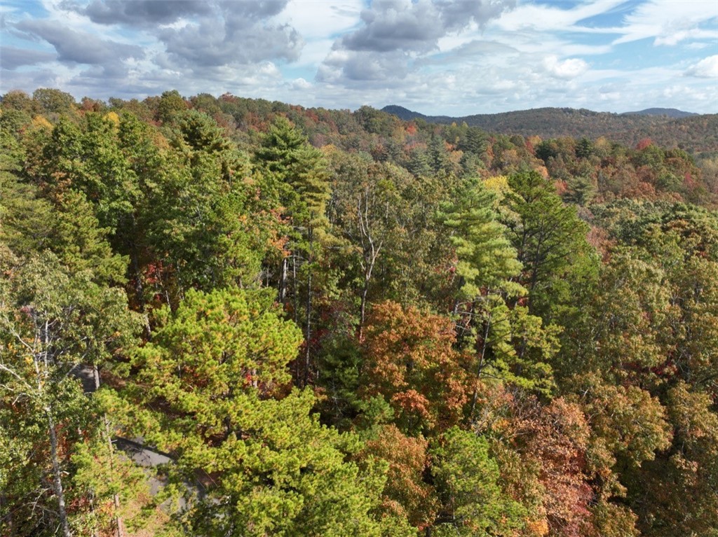 298 Cold Springs Church Road