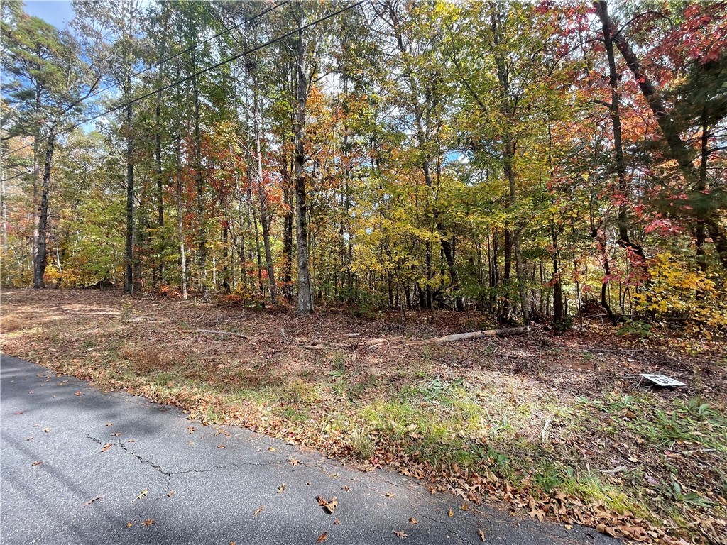 298 Cold Springs Church Road