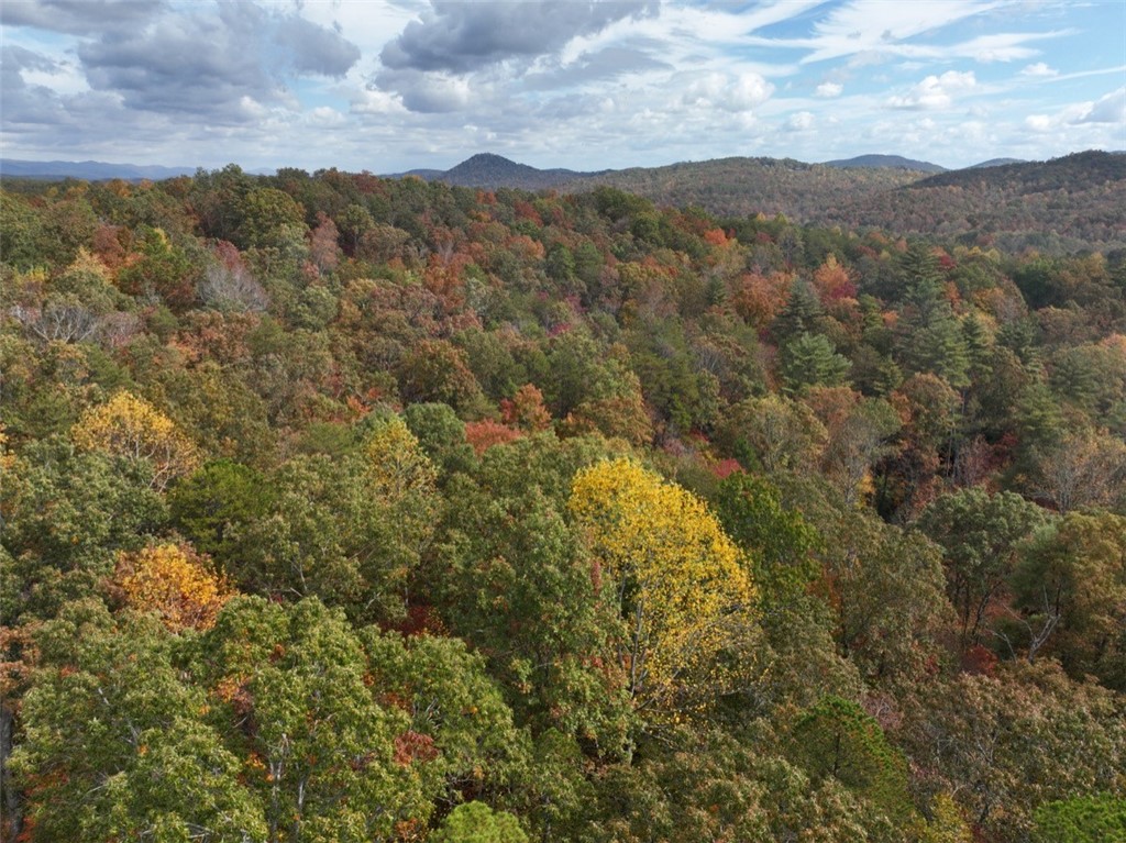 298 Cold Springs Church Road