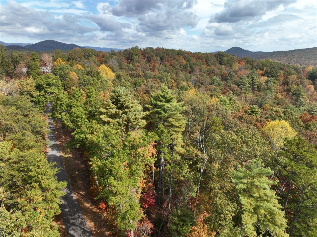 298 Cold Springs Church Road