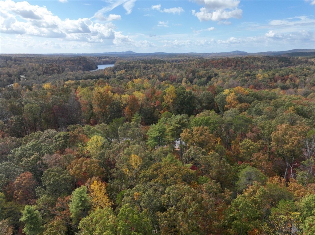 298 Cold Springs Church Road