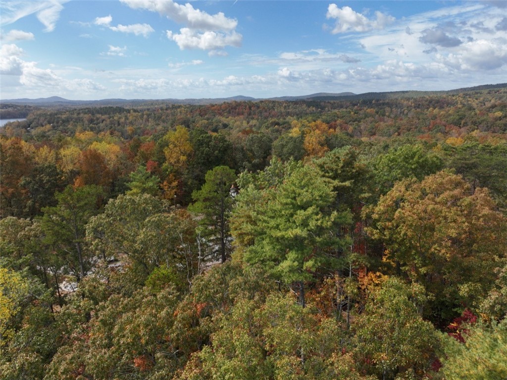 298 Cold Springs Church Road