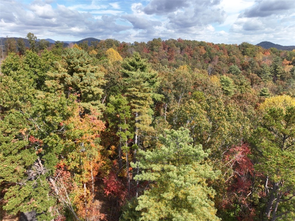 298 Cold Springs Church Road