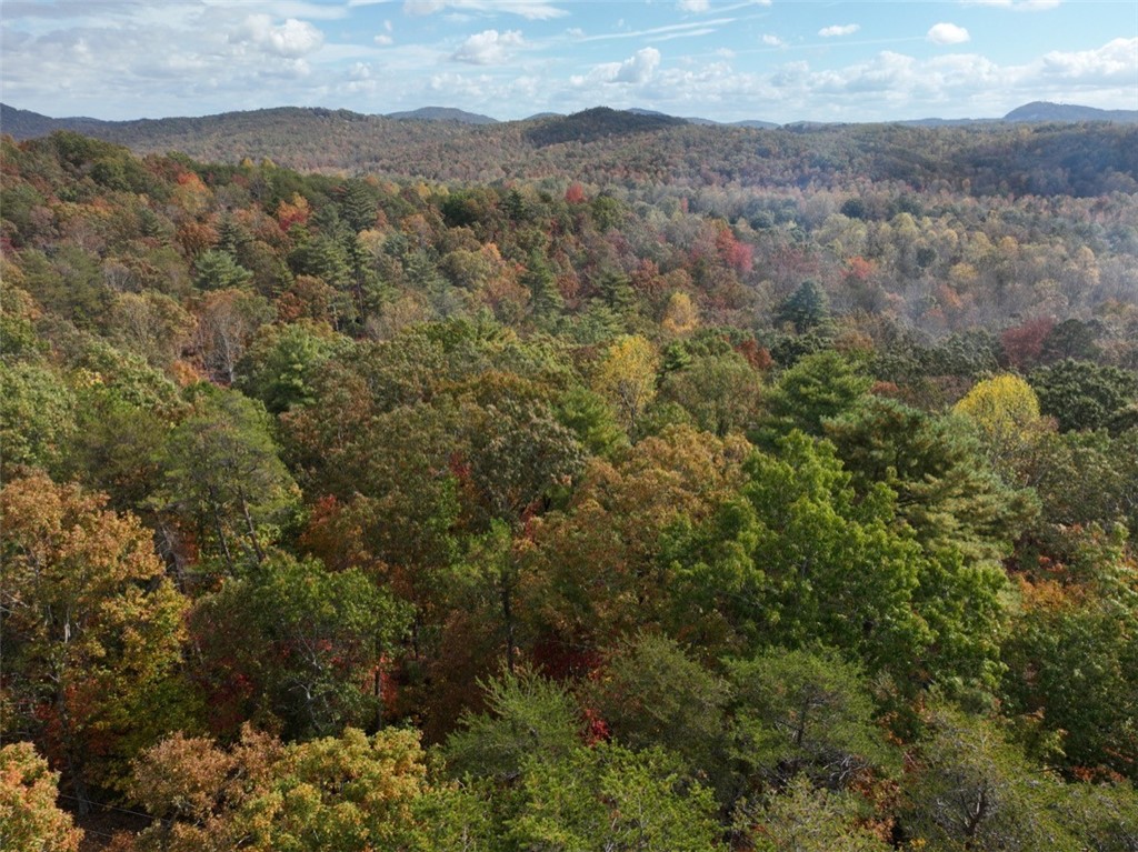 298 Cold Springs Church Road