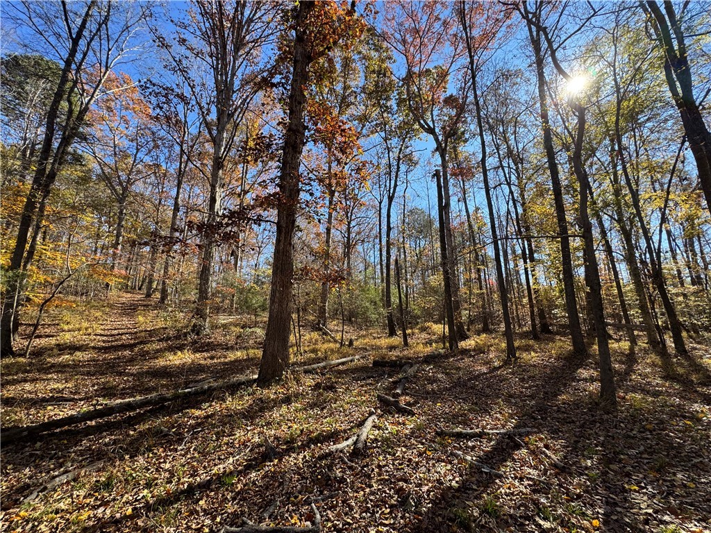 220 Wildwood Farms Road