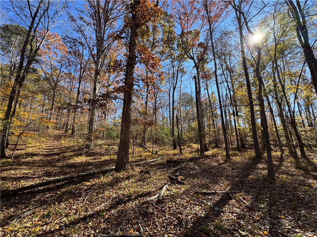 220 Wildwood Farms Road