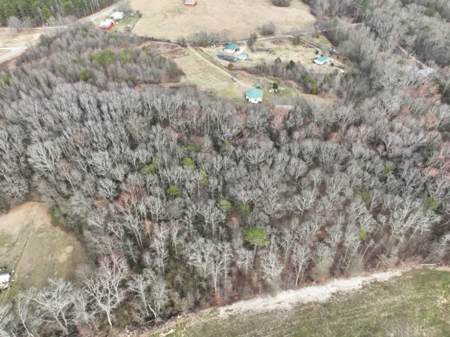 02 Mount Olivet Road