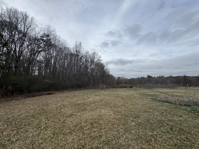 909 Curt Bailey Road