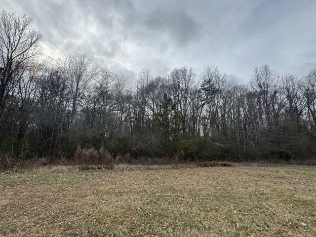 909 Curt Bailey Road