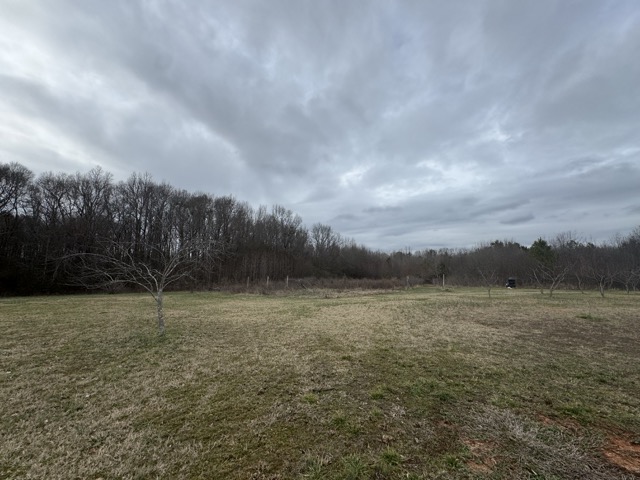 909 Curt Bailey Road