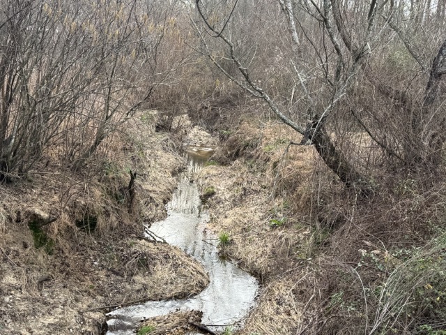 909 Curt Bailey Road