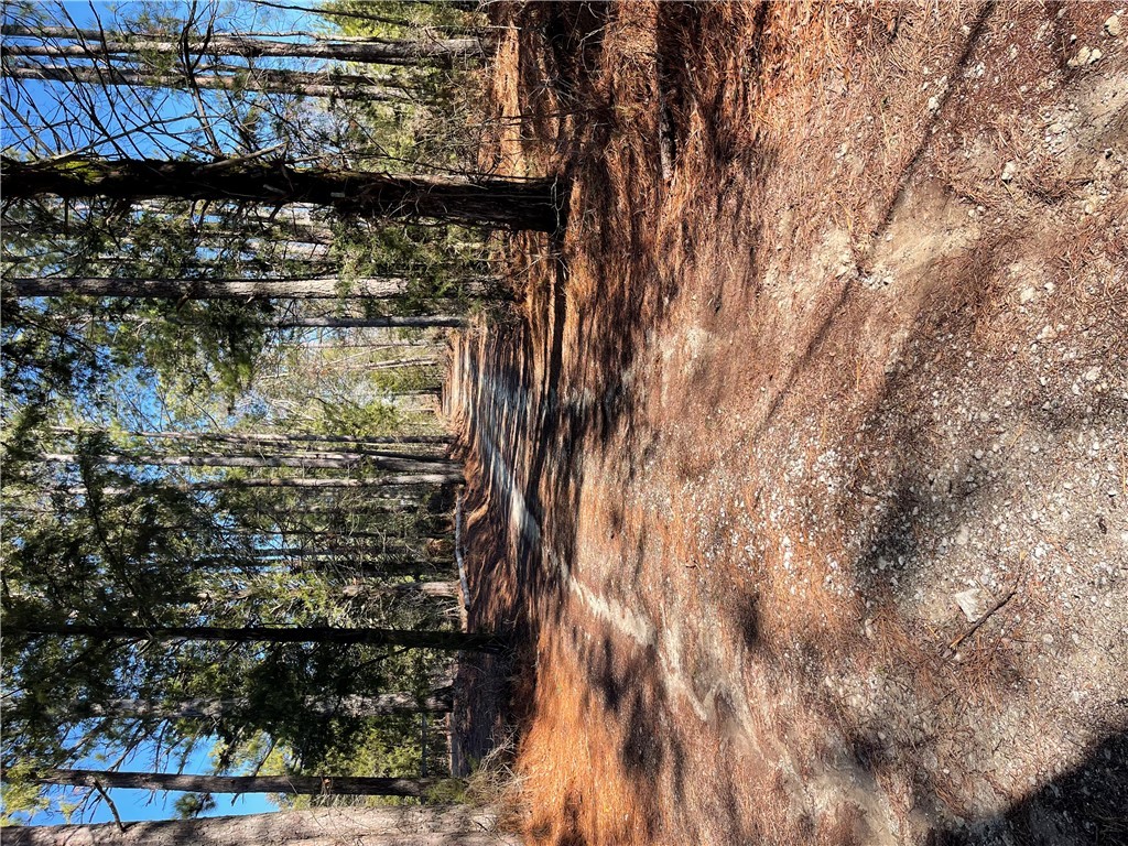 500 Mars Bridge Road