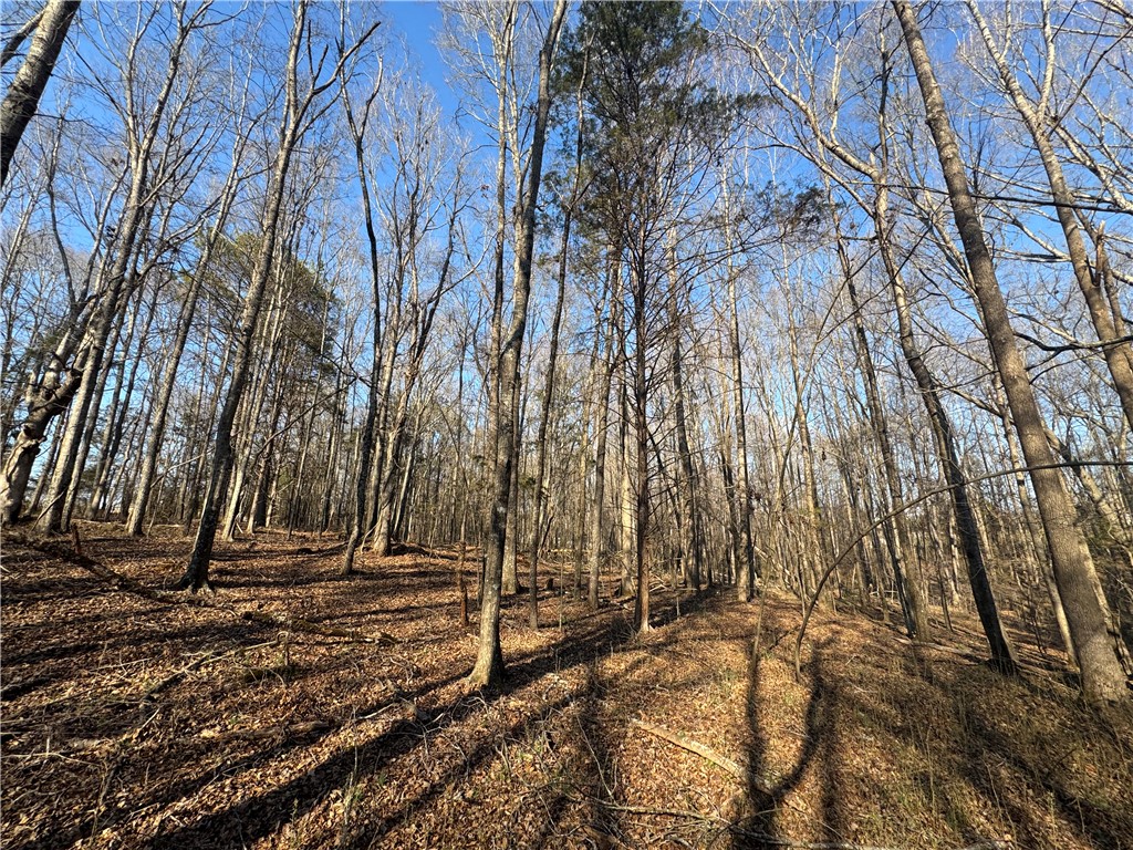 212 Lancashire Drive