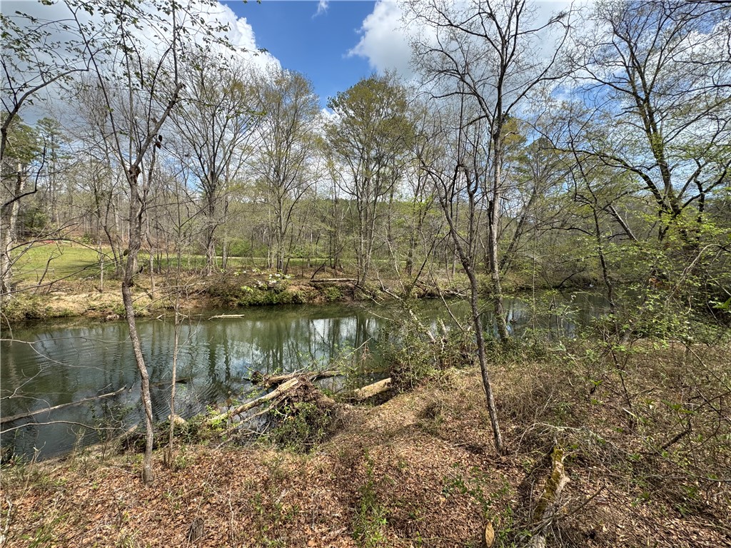 161 Chauga Shoals Drive