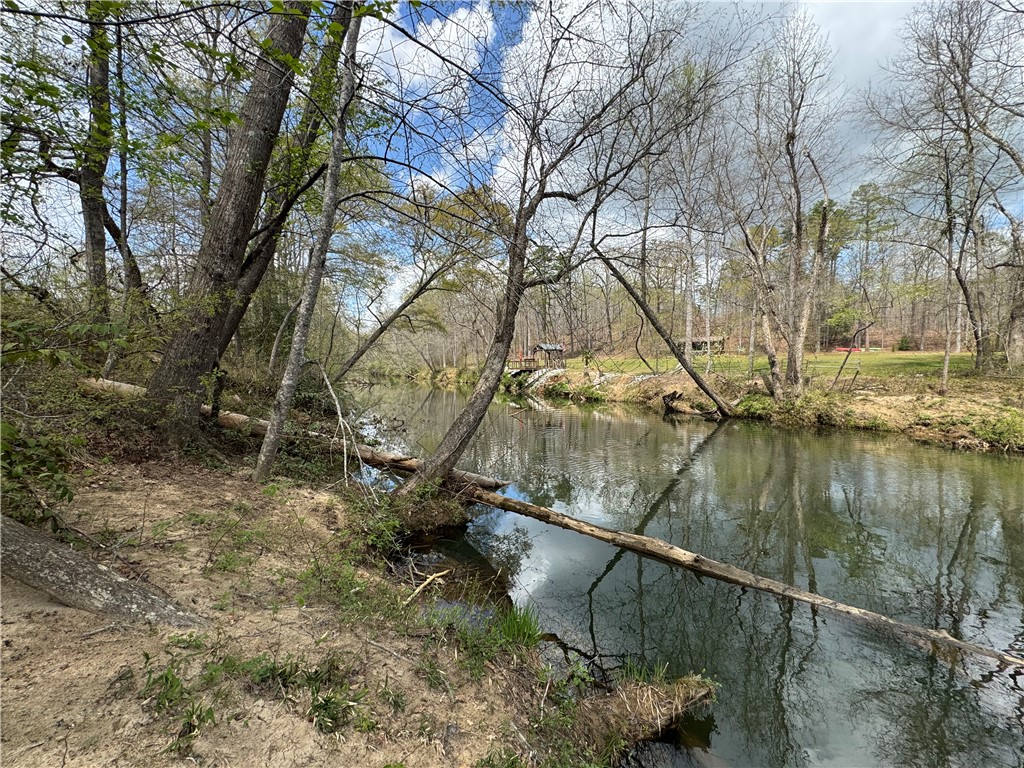 161 Chauga Shoals Drive