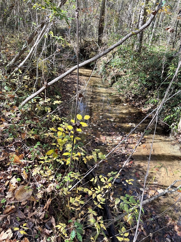 161 Chauga Shoals Drive