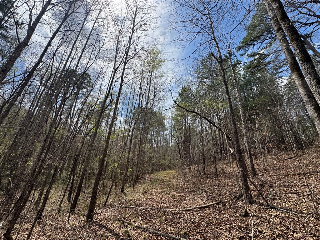 161 Chauga Shoals Drive