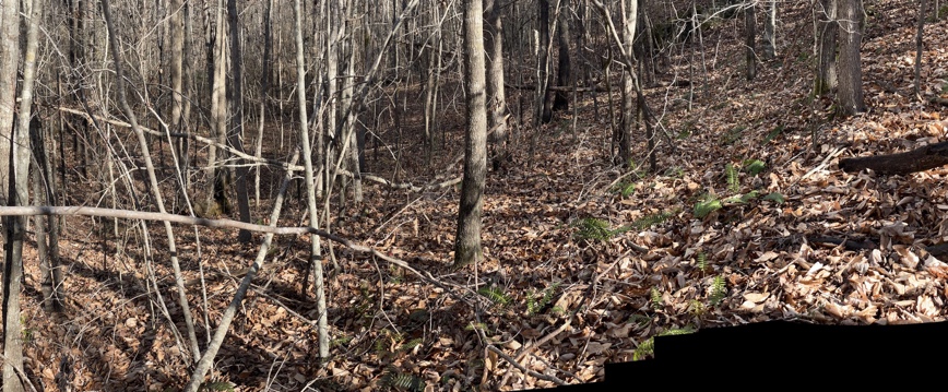 161 Chauga Shoals Drive