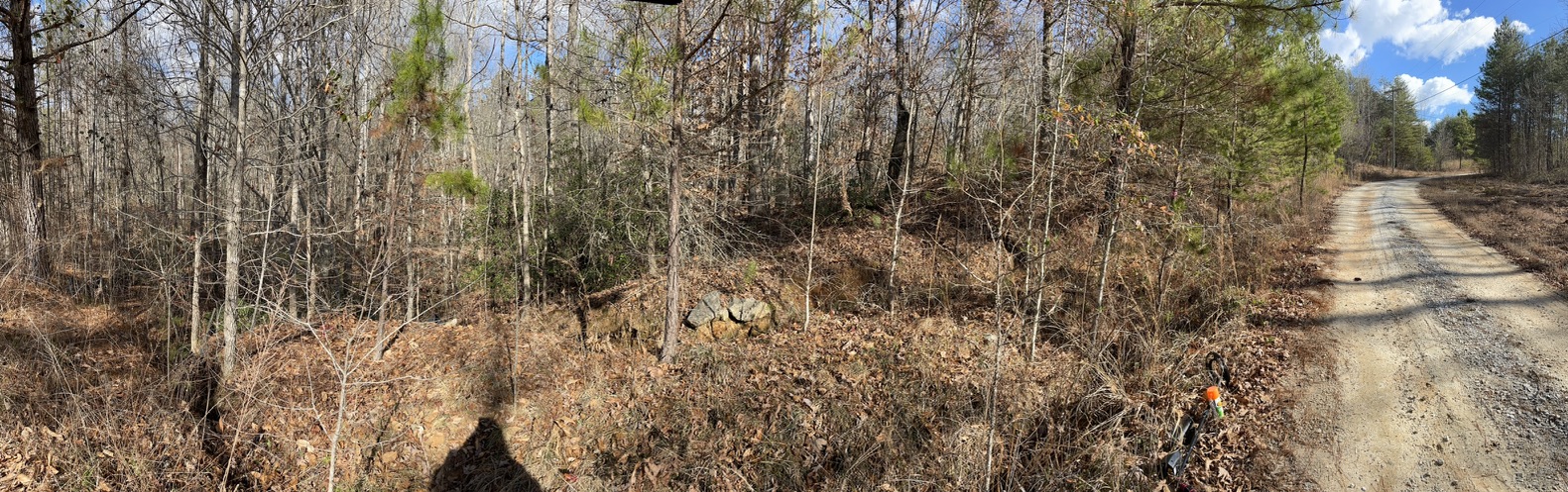 161 Chauga Shoals Drive