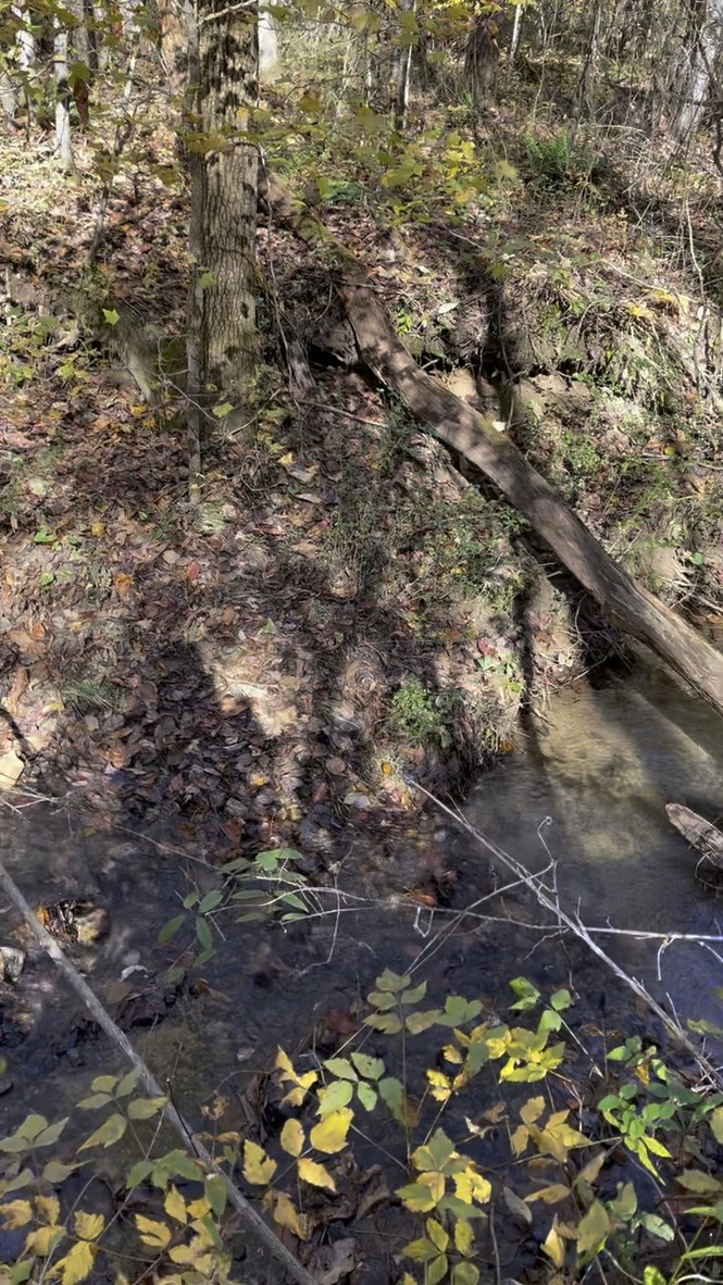 161 Chauga Shoals Drive