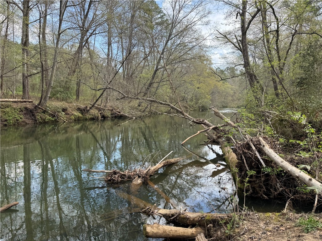 161 Chauga Shoals Drive