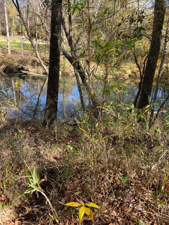 161 Chauga Shoals Drive