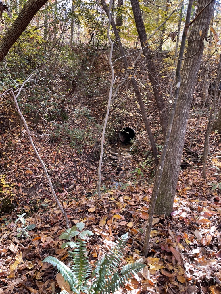 161 Chauga Shoals Drive