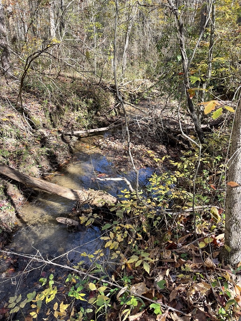 161 Chauga Shoals Drive