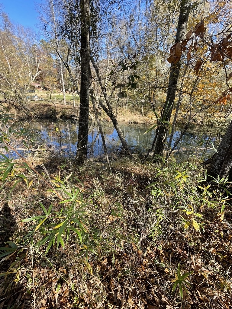 161 Chauga Shoals Drive